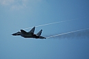 2_narodne_letecke_dni_100.jpg
