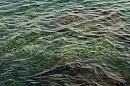 2007-08-25_marusici_foto-13.jpg