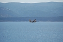 2007-08-26_marusici_lietadlo_foto-8647.jpg