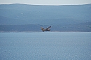 2007-08-26_marusici_lietadlo_foto-8648.jpg