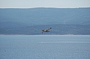2007-08-26_marusici_lietadlo_foto-8649.jpg