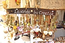 2007-08-26_trh_split_foto-04.jpg