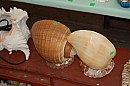 2007-08-26_trh_split_foto-19.jpg