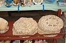 2007-08-26_trh_split_foto-20.jpg