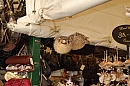 2007-08-26_trh_split_foto-22.jpg