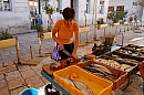 2007-08-26_trh_split_ryby_foto-004.jpg