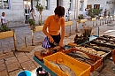 2007-08-26_trh_split_ryby_foto-006.jpg