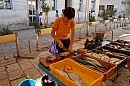 2007-08-26_trh_split_ryby_foto-007.jpg