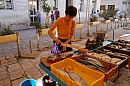 2007-08-26_trh_split_ryby_foto-008.jpg