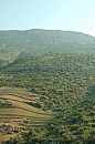 hr_04_08_2008_orebic_kuciste_11.jpg