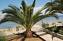 hr_09_08_2008_drace_trstenik_01.jpg