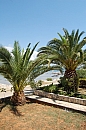 hr_09_08_2008_drace_trstenik_02.jpg