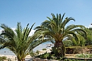 hr_09_08_2008_drace_trstenik_03.jpg
