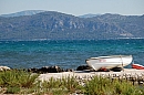hr_10_08_2008_drace_02.jpg