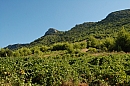 hr_14_08_2008_trstenik_03.jpg