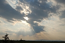 hr_drace_01-02_08_2008_01.jpg