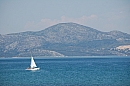 hr_drace_01-02_08_2008_07.jpg
